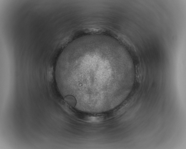 X0000112950563200909141410