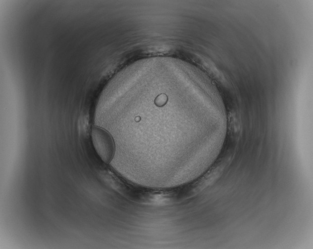 X0000112950564200909141410