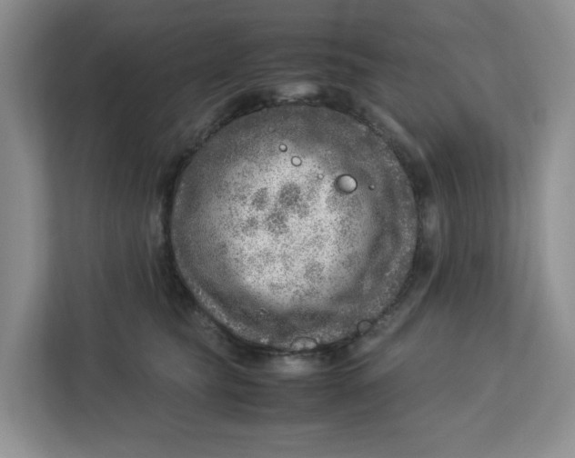 X0000112950565200909141410