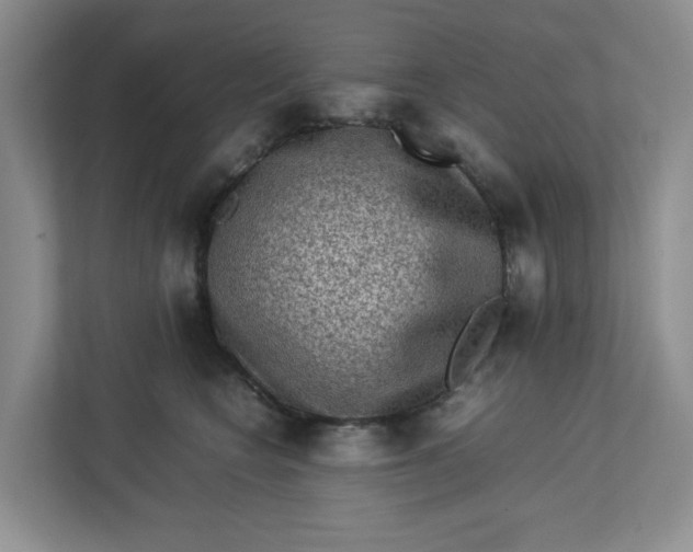 X0000112950566200909141410