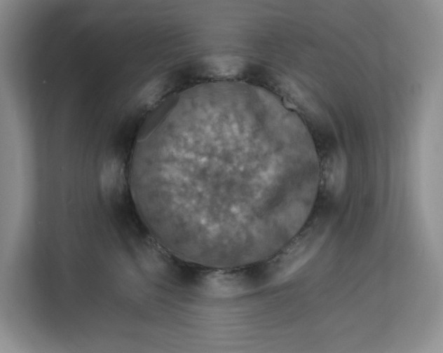 X0000112950568200909141410