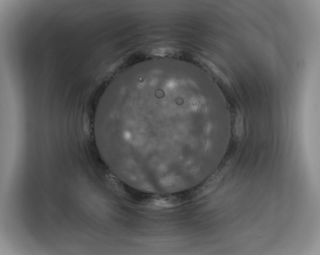 X0000112950569200909141410