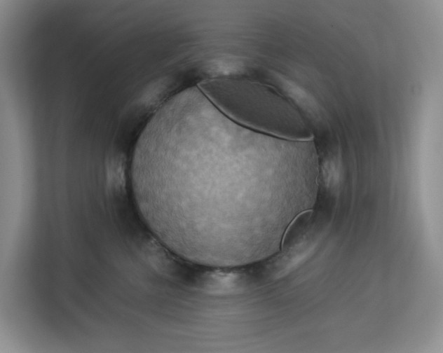 X0000112950570200909141410