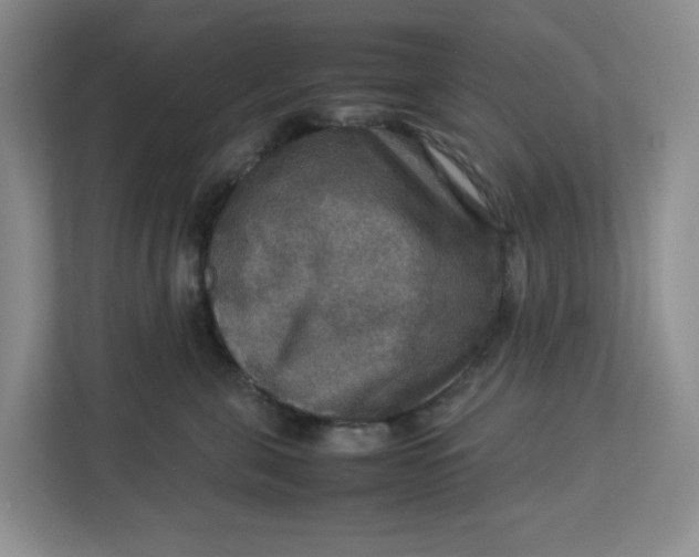 X0000112950571200909141410