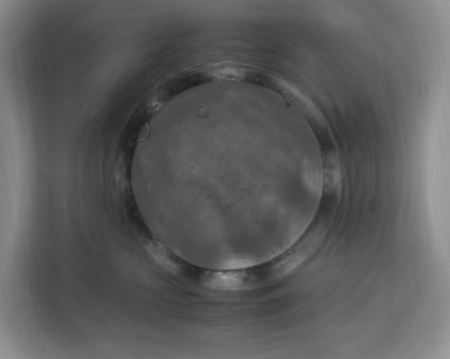 X0000112950573200909141410