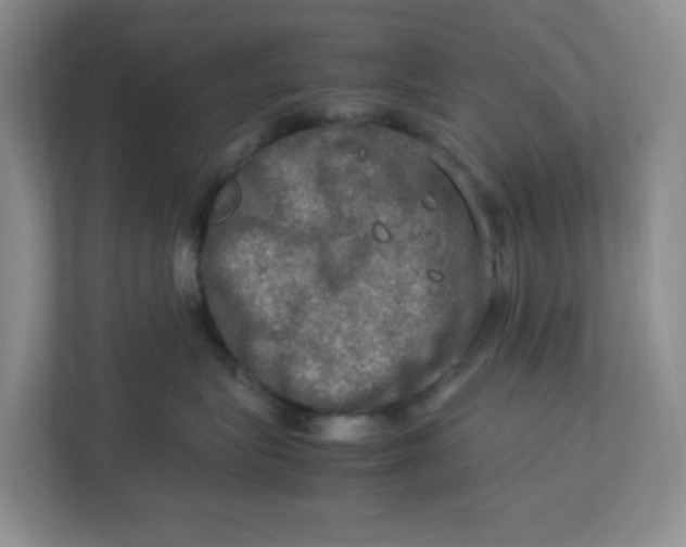 X0000112950575200909141410