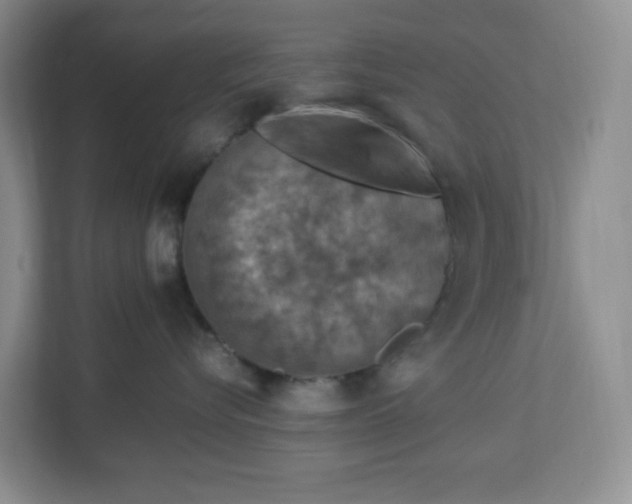 X0000112950576200909141410