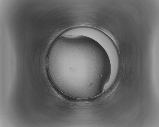 X0000112950577200909141409