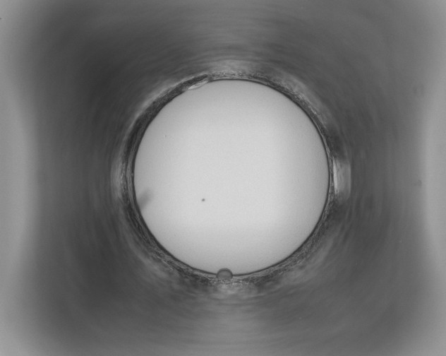 X0000112950579200909141409