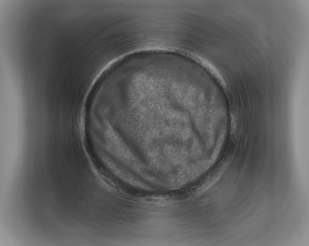 X0000112950580200909141409