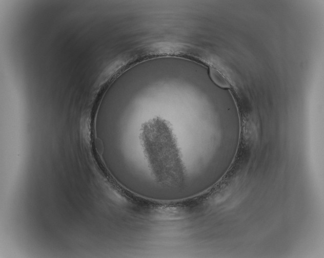 X0000112950581200909141409