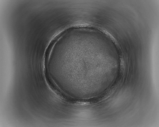 X0000112950582200909141409