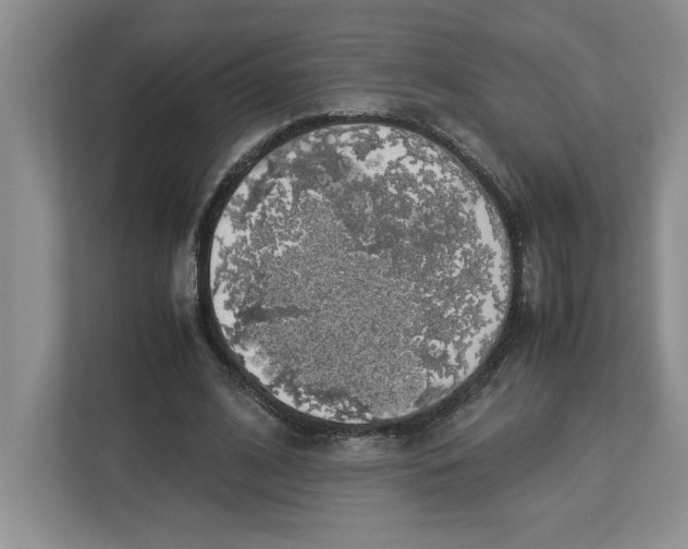 X0000112950584200909141409