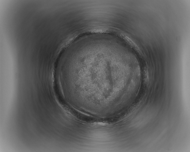 X0000112950586200909141409