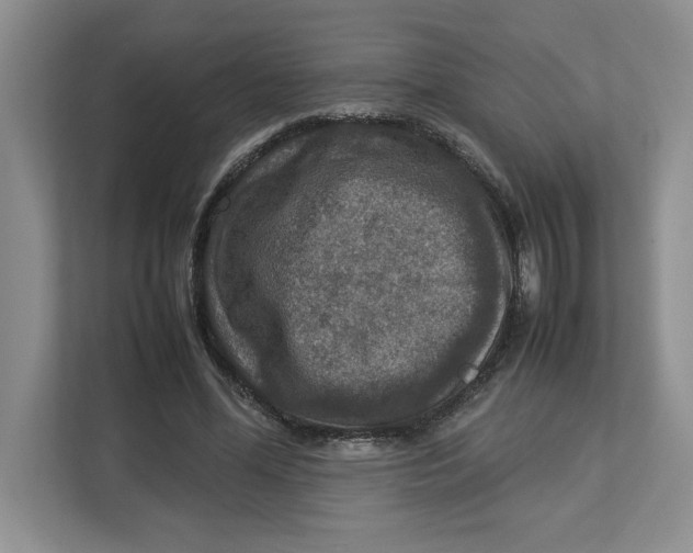 X0000112950588200909141409