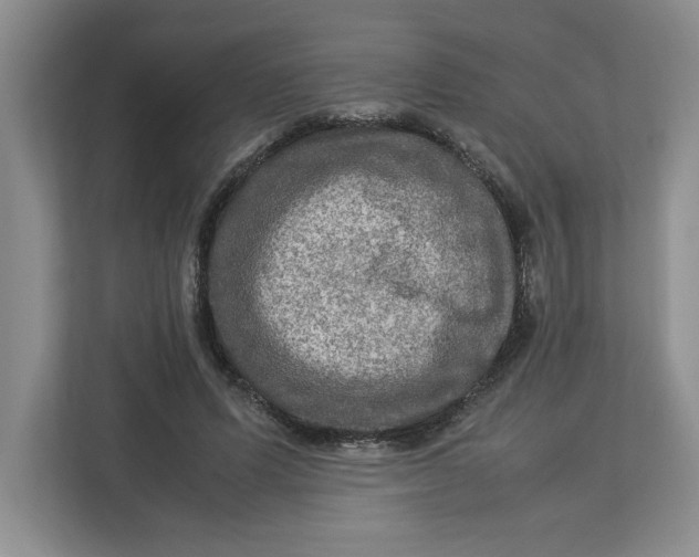 X0000112950591200909141409