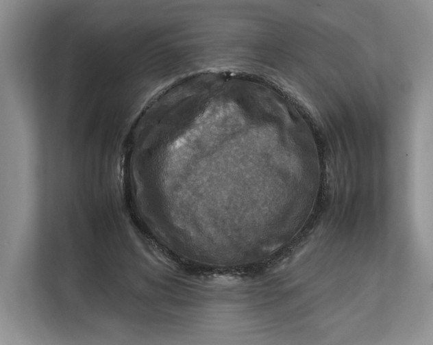 X0000112950592200909141409