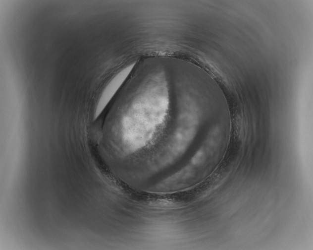 X0000112950594200909141409