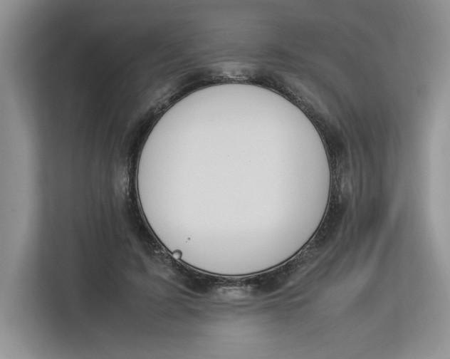 X0000112950595200909141409