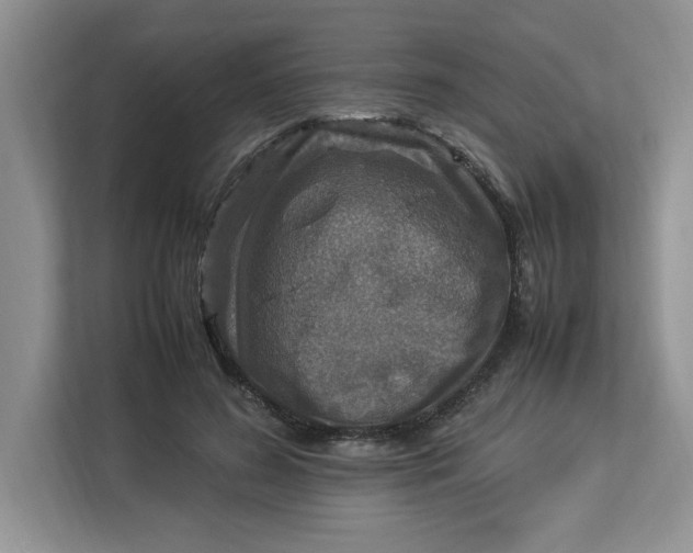 X0000112950596200909141409