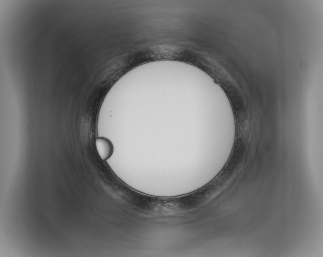 X0000112950599200909141409