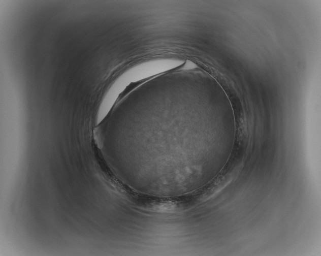 X0000112950600200909141409