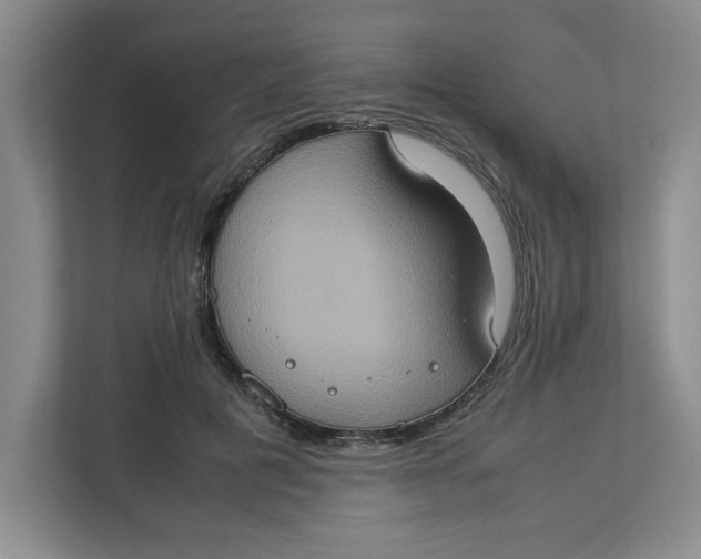 X0000112950601200909141409