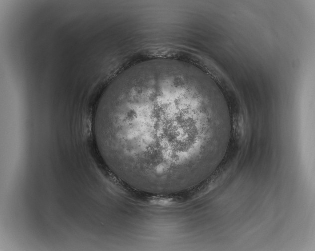 X0000112950602200909141409