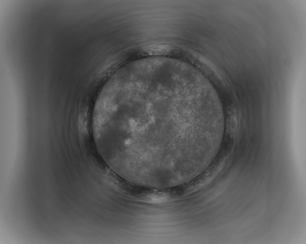 X0000112950604200909141409