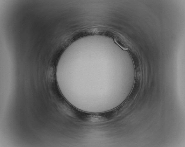 X0000112950605200909141409