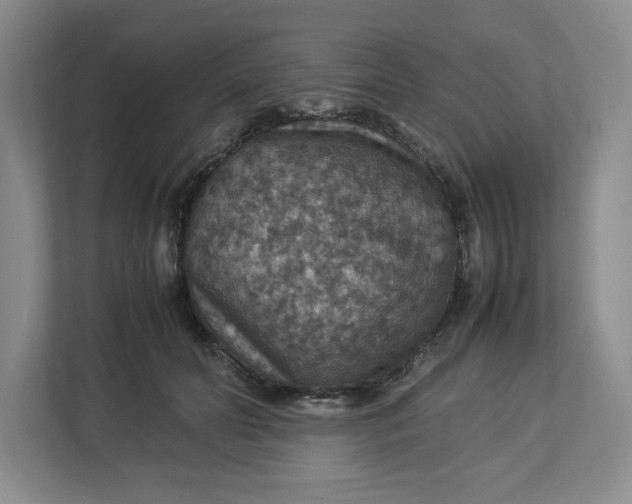 X0000112950606200909141409