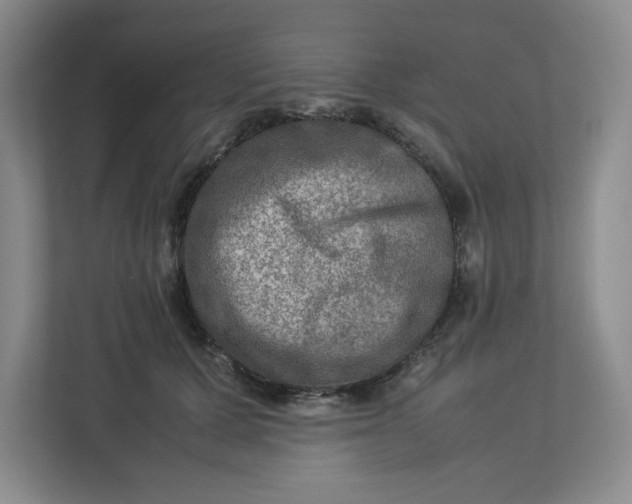 X0000112950607200909141409