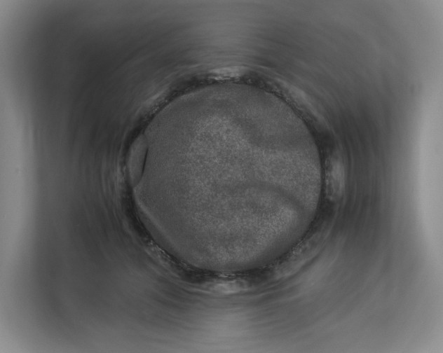 X0000112950608200909141409