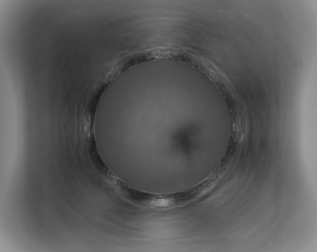 X0000112950610200909141409