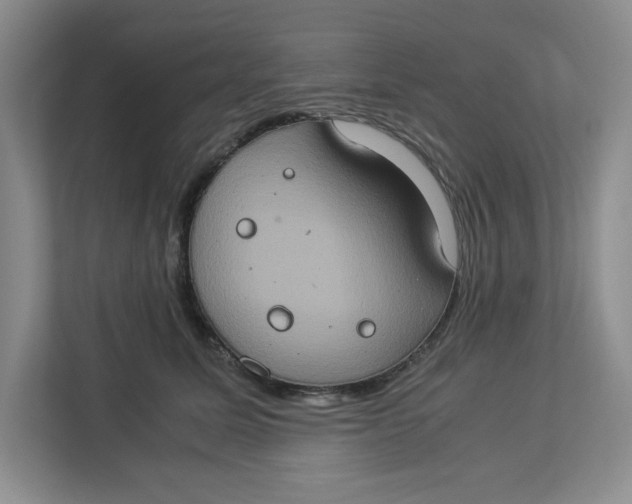 X0000112950611200909141409