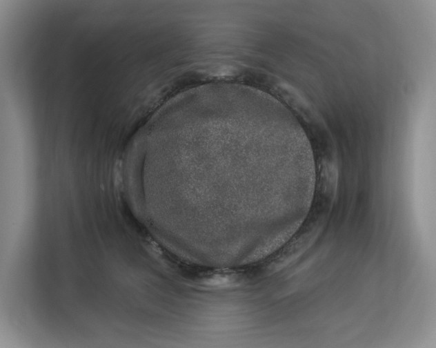 X0000112950612200909141409