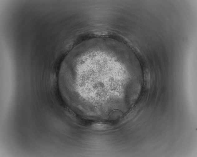 X0000112950614200909141409