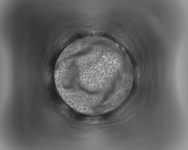 X0000112950615200909141409