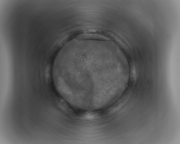 X0000112950616200909141409