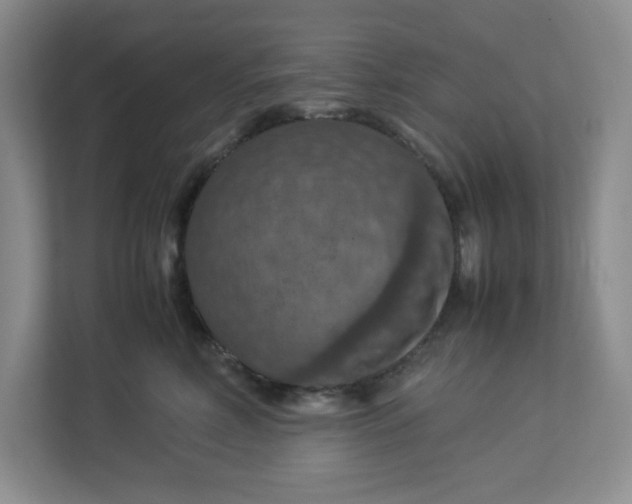 X0000112950618200909141409