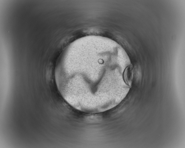 X0000112950619200909141409