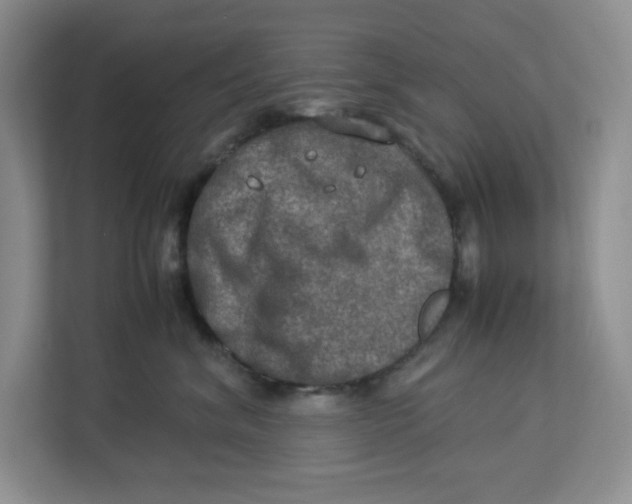 X0000112950620200909141409