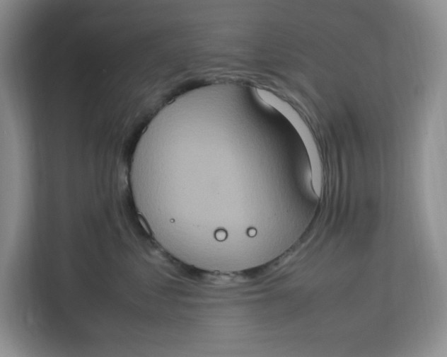 X0000112950621200909141409