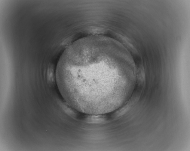 X0000112950622200909141409