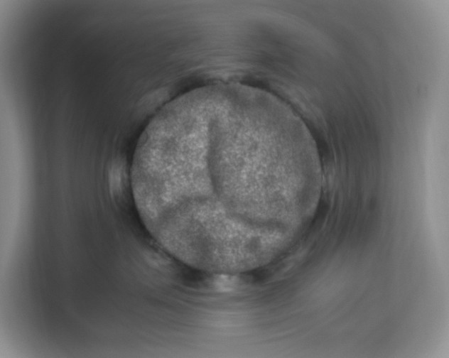 X0000112950623200909141409