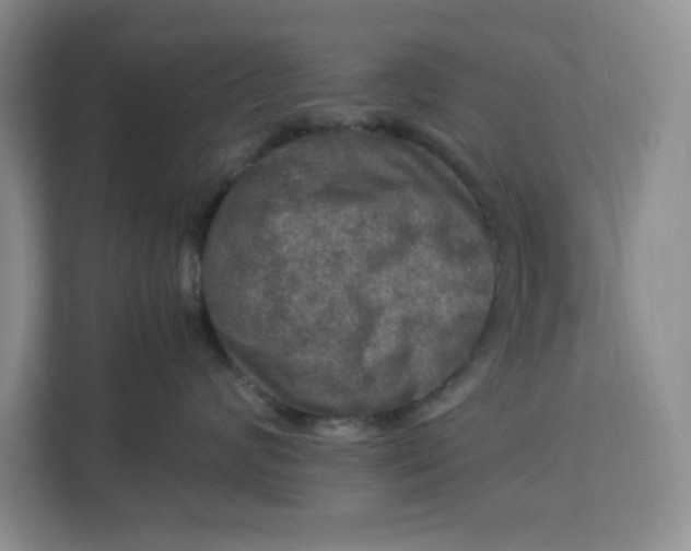 X0000112950624200909141409