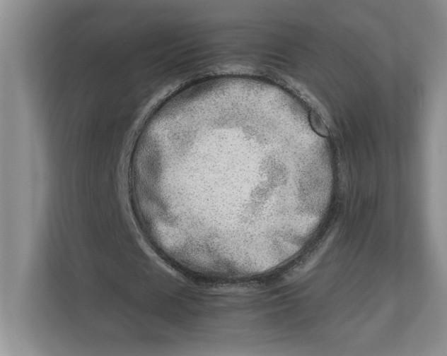 X0000112950625200909141408