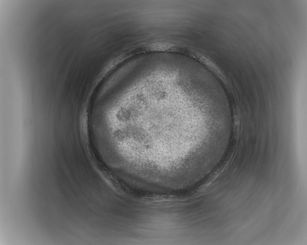 X0000112950626200909141408