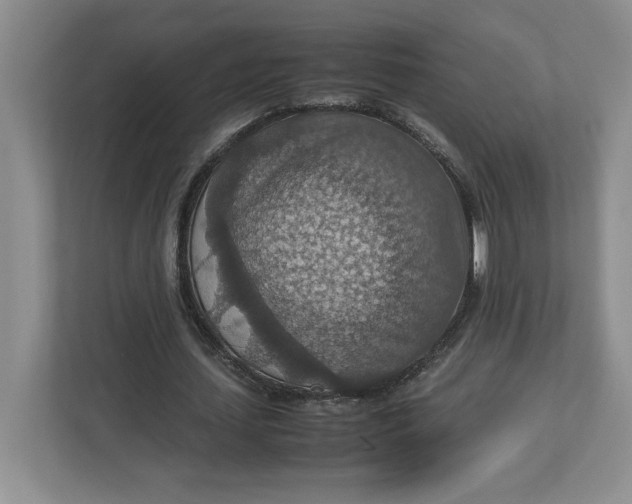 X0000112950627200909141408