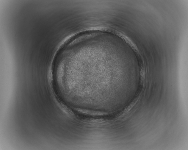 X0000112950628200909141408